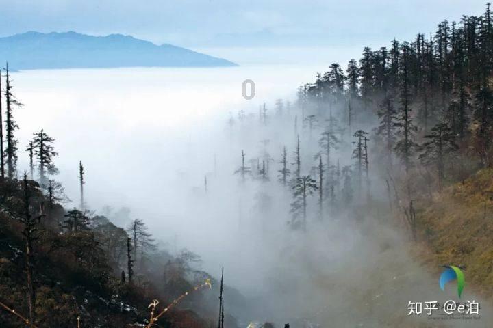 狗吃自己拉的屎是怎么回事游戏画面